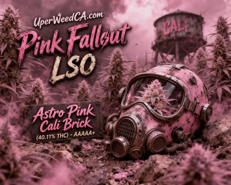 Pink Fallout LSO product image