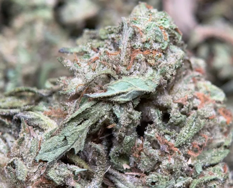 Pink Skywalker product image 2