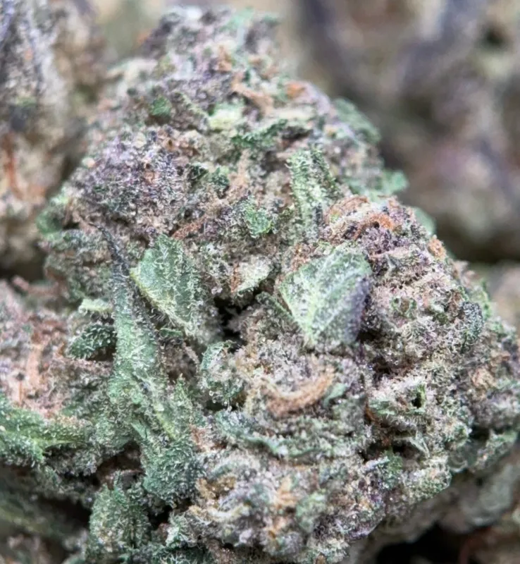 Pink Skywalker product image 3