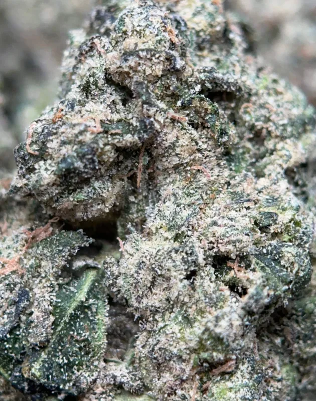 Pinkman Goo product image 2