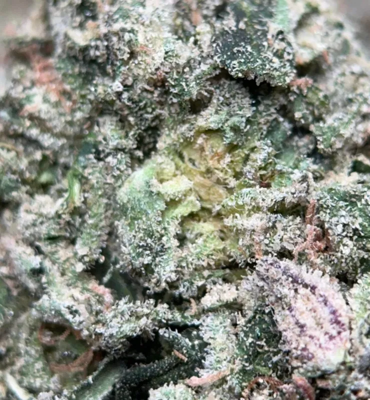 Pinkman Goo product image 3