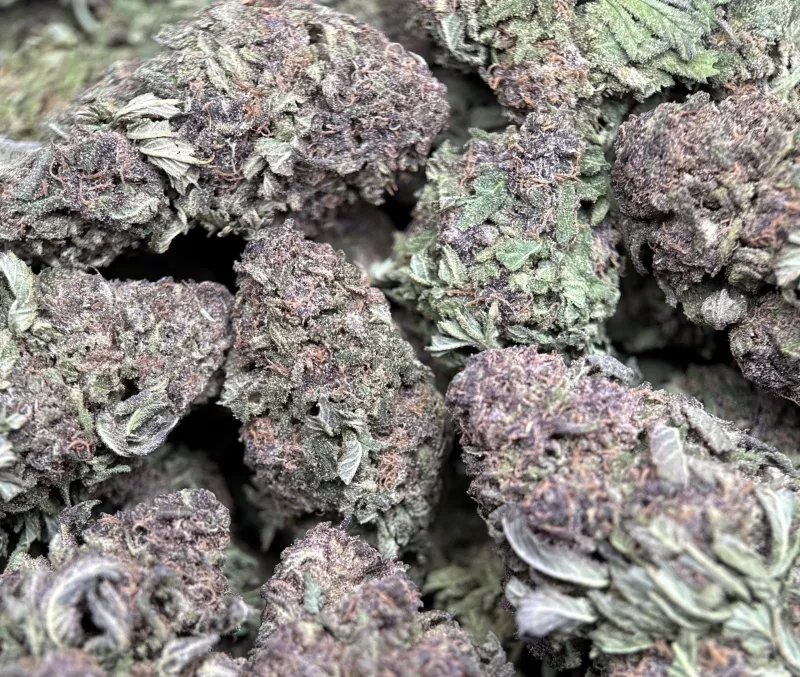 Purple Monster product image 3