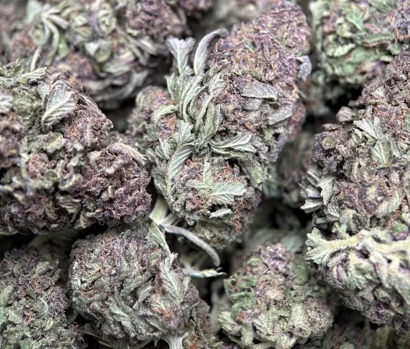 Purple Monster product image 4