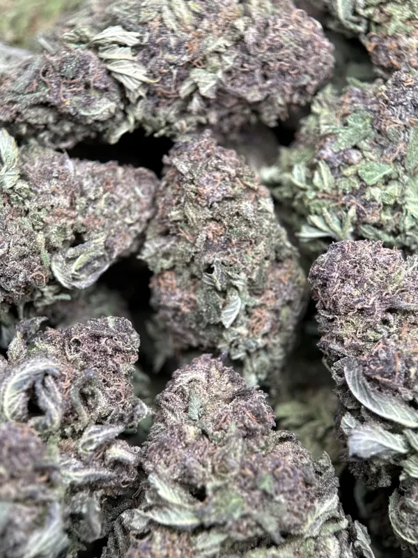 Purple Monster product image 7