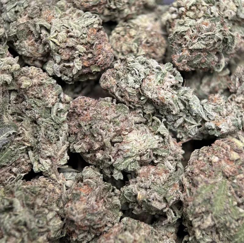 Purple Snake product image 6