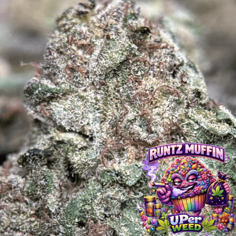 Runtz Muffin product image 3