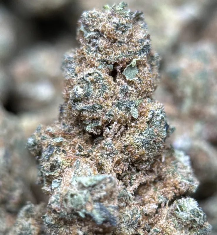 Sour Apple product image 2
