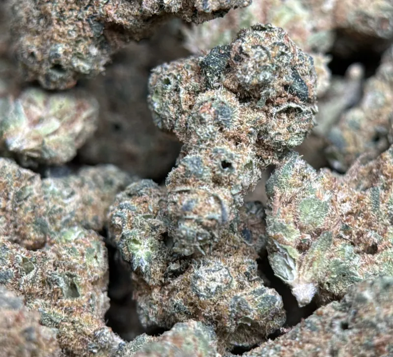 Sour Apple product image 3