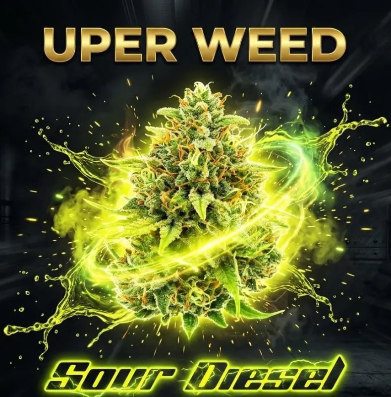 Sour Diesel AA+ product image 2