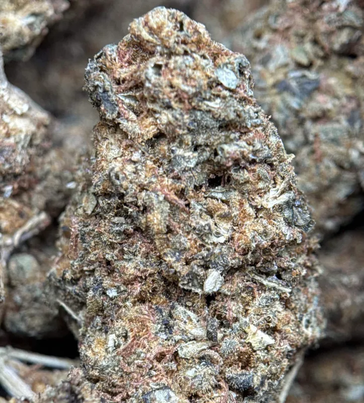 Sour Skittles product image 2