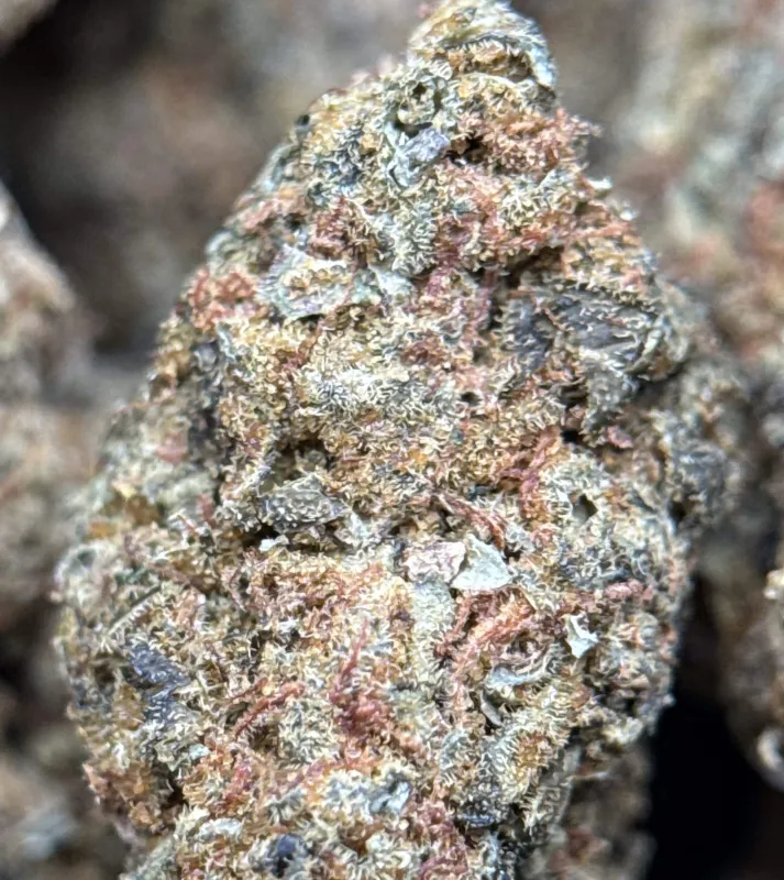 Sour Skittles product image 3