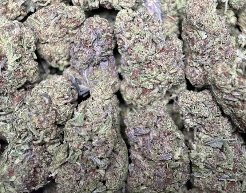 Ultra Pink product image 9