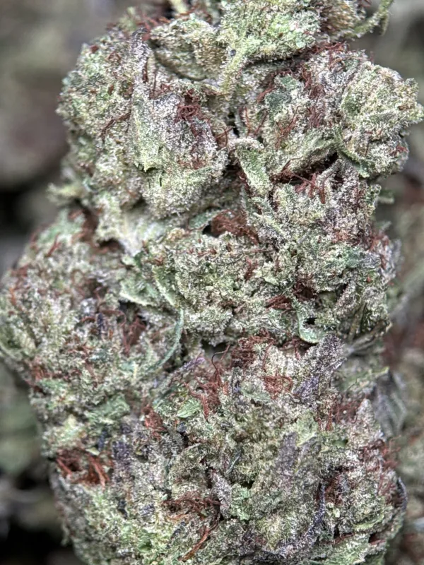 Ultra Pink product image 3