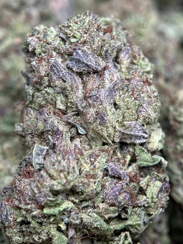 Ultra Pink product image 4
