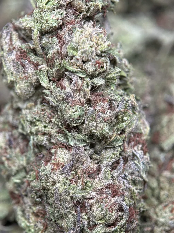 Ultra Pink product image 5