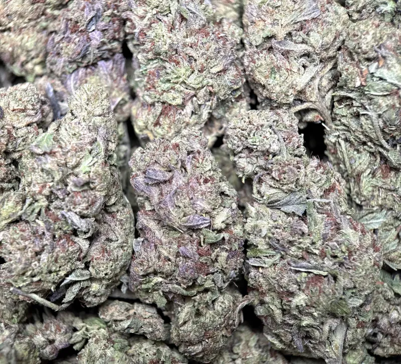Ultra Pink product image 6