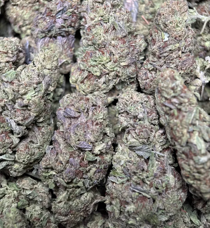 Ultra Pink product image 7