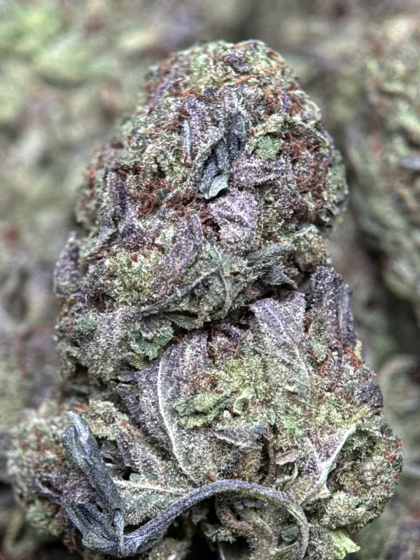 Ultra Pink product image 8