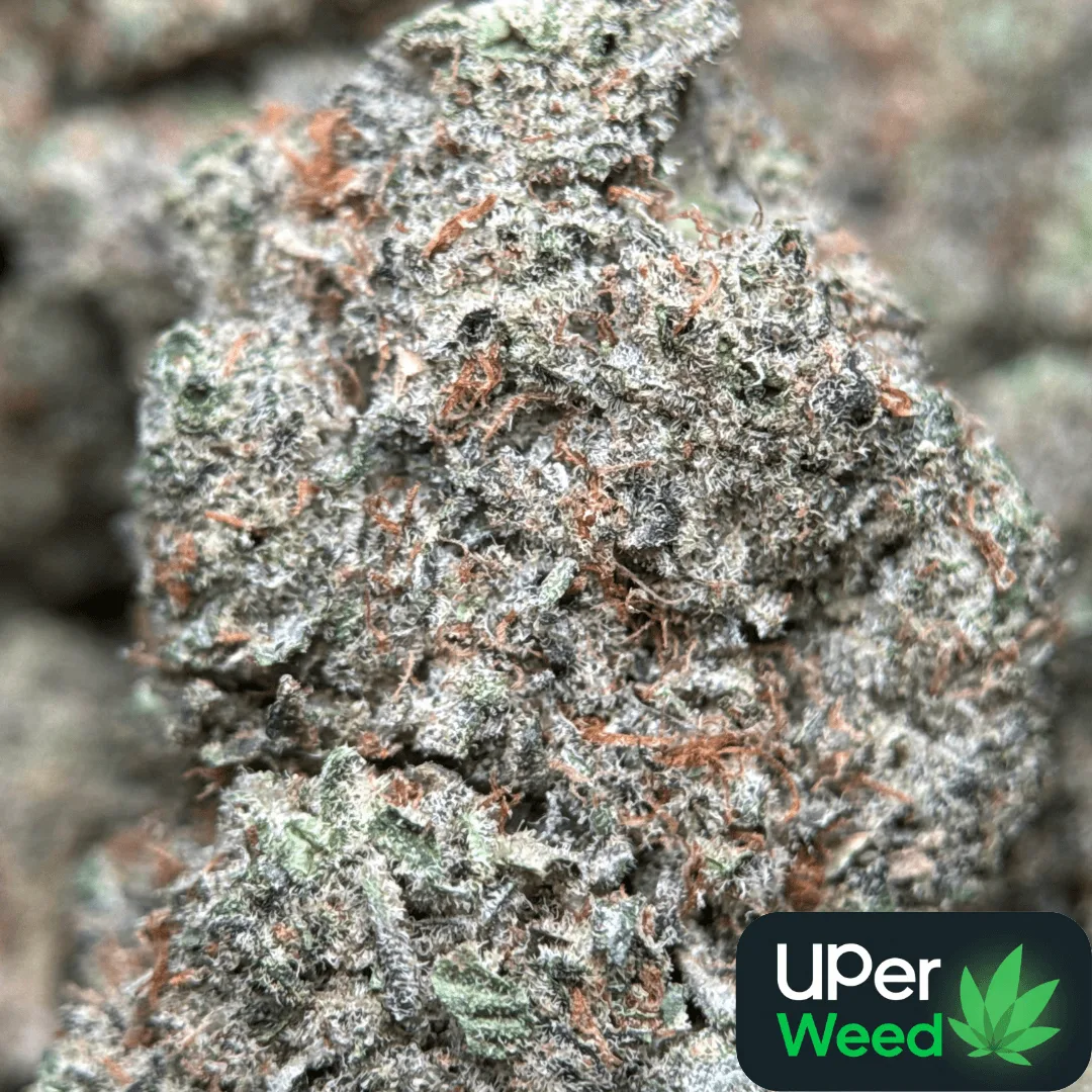 White Diamond product image 2