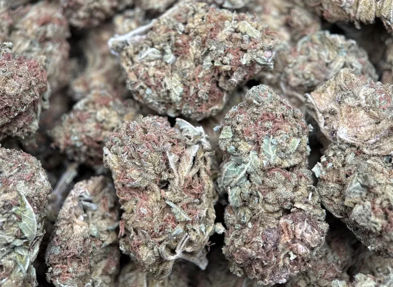White Widow product image 3