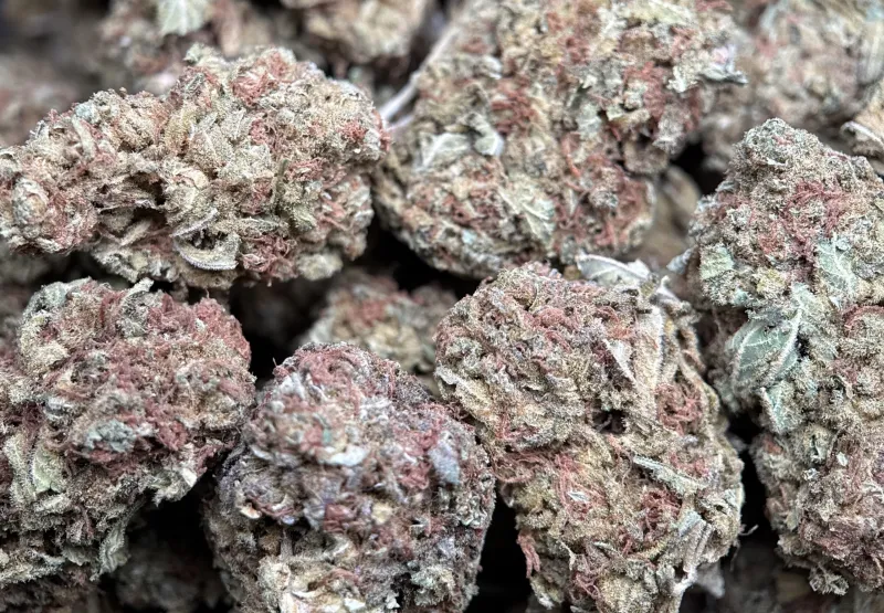 White Widow product image 4